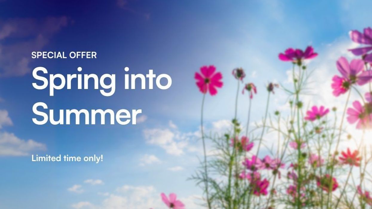 LOOP-summer-offer