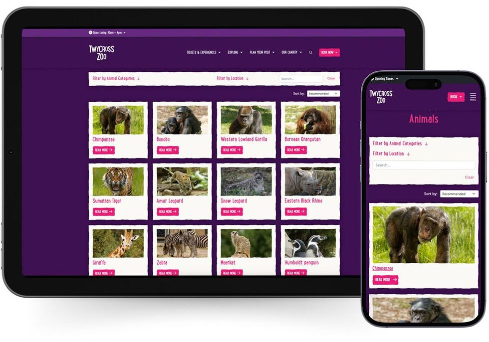 LOOP website platform for attractions by Semantic - blooloop Innovation Awards 2024