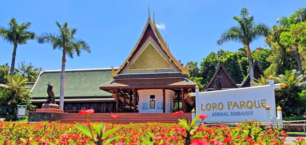 Loro Parque Animal Embassy