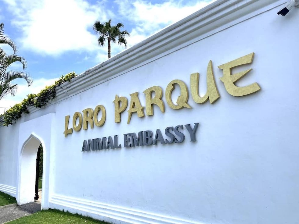 Loro Parque_Animal Embassy