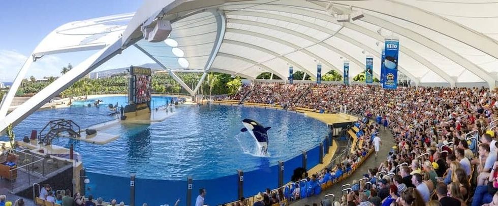 Loro-Parque-Orcas-Stadium