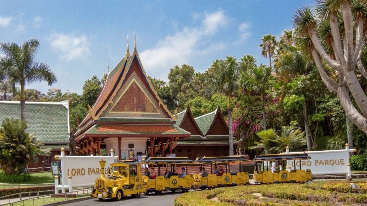 loro parque