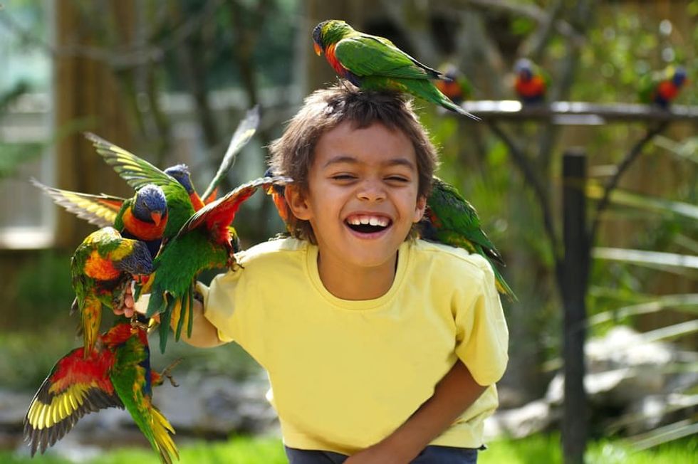 lory landing Drusillas Park