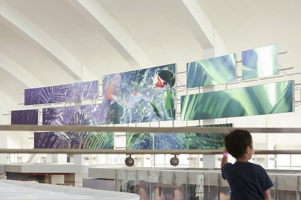 Los angeles airport LAX electrosonic inspired spaces blooloop