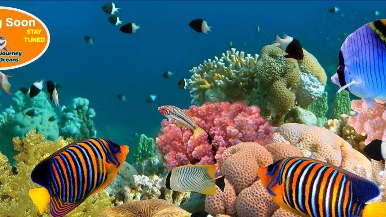 Louisville Entrepreneur Launches Website to Propose $80m Public Aquarium