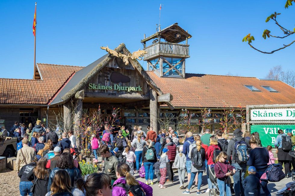 Lund Gruppen Skånes Djurpark lodge1