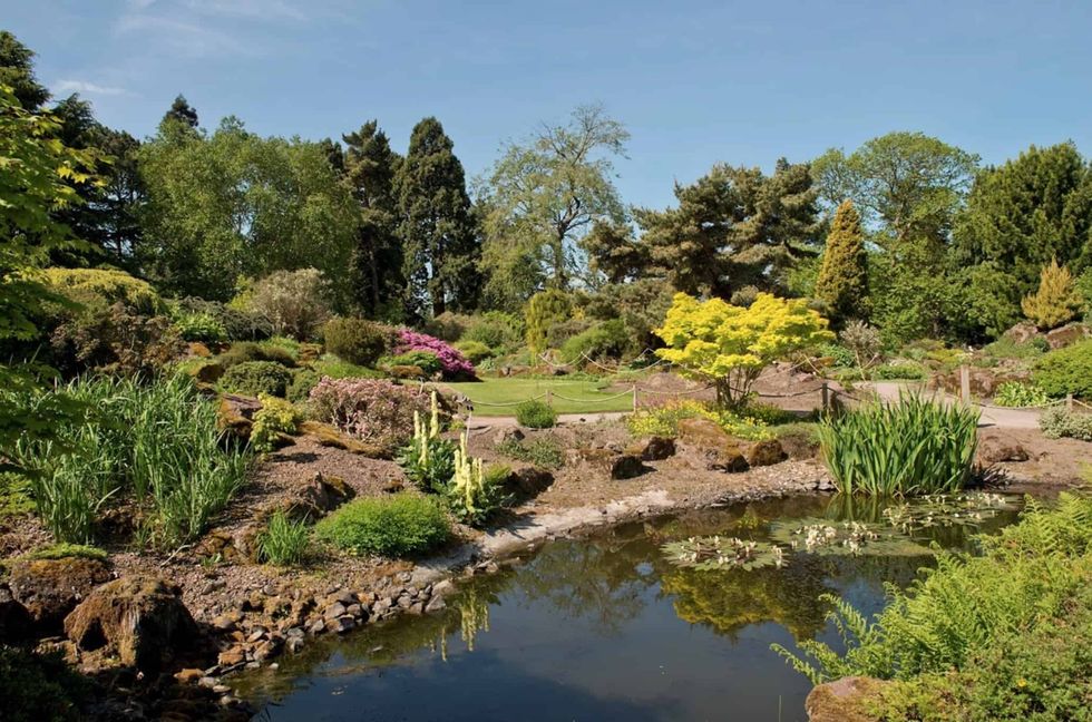 Lush garden at Royal Botanic Garden Edinburgh with pond, diverse plants, and trees under a clear blue sky.