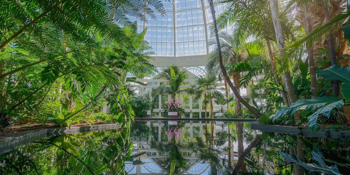 Cultivating joy, science, and climate resilience at the New York Botanical Garden