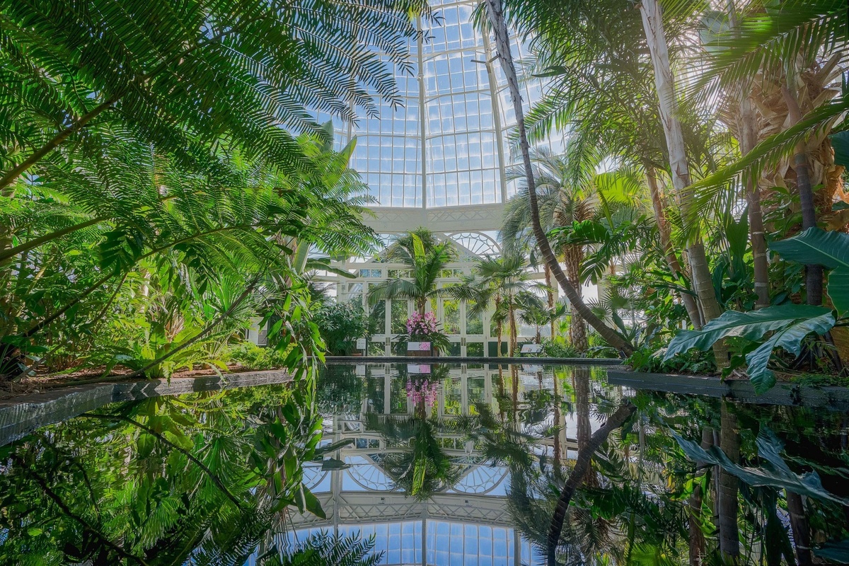 Lush indoor garden with glass ceiling and reflective pond.