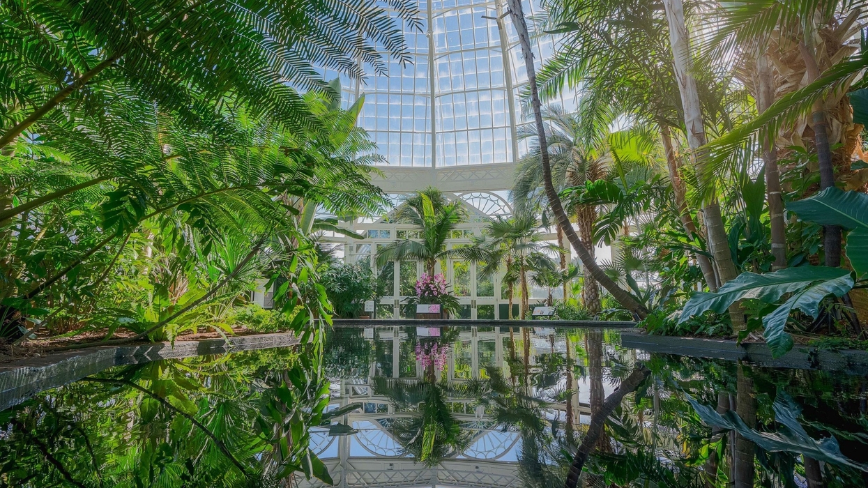 Lush indoor garden with glass ceiling and reflective pond.