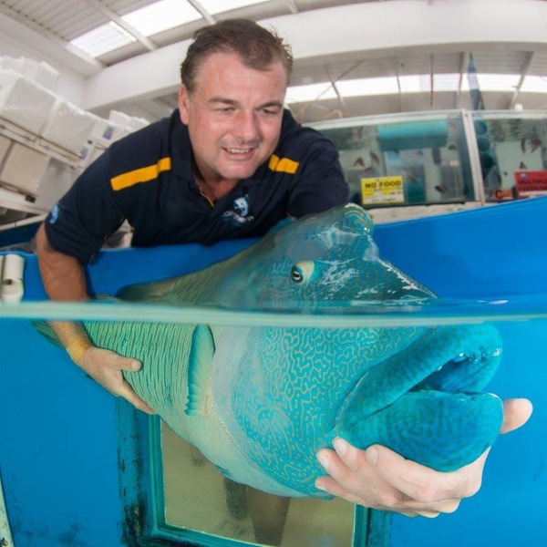 Lyle Squire Jnr Head Shot