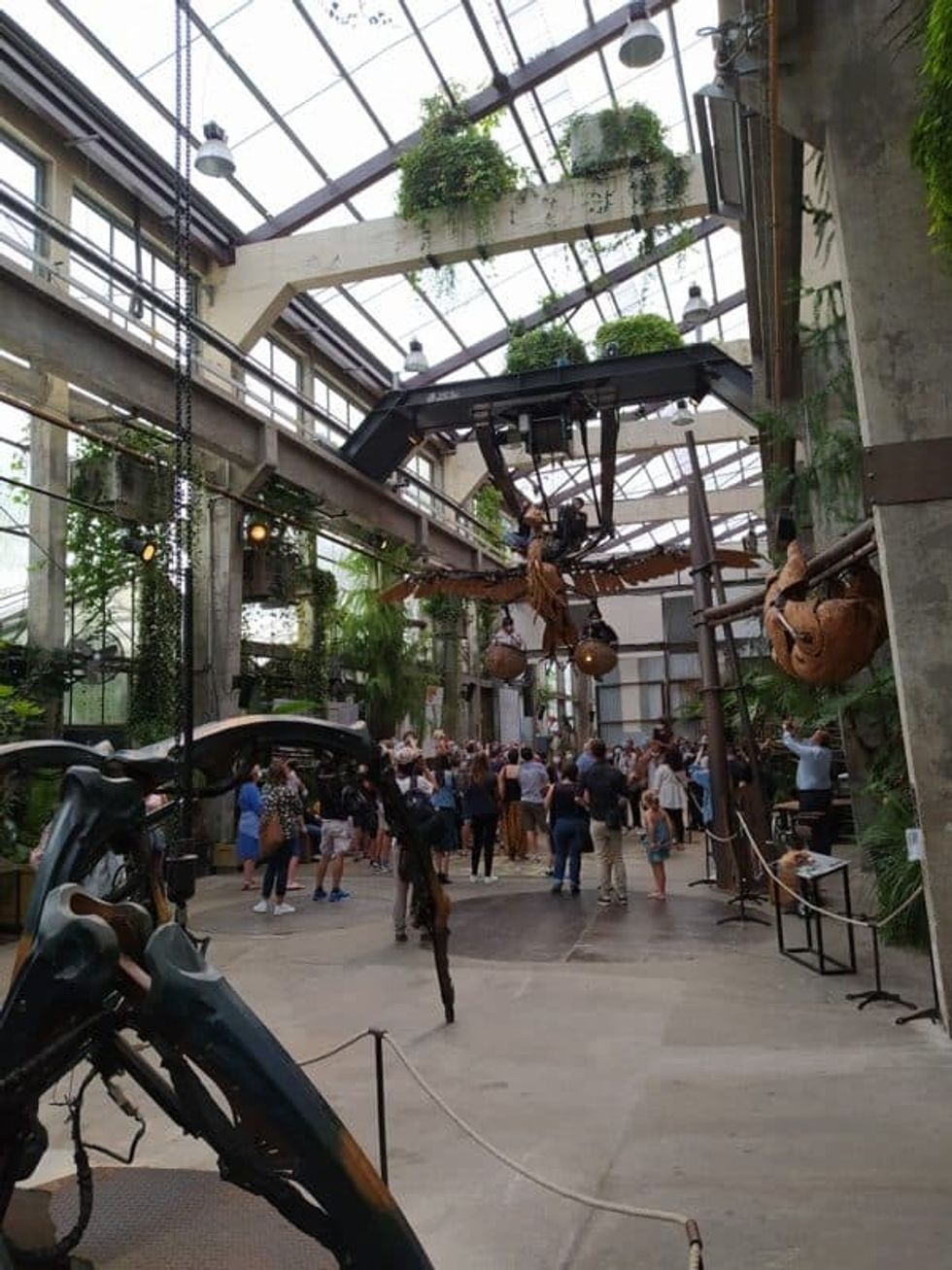 machines de l'ile