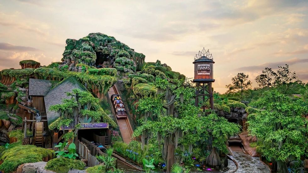 magic kingdom disney world