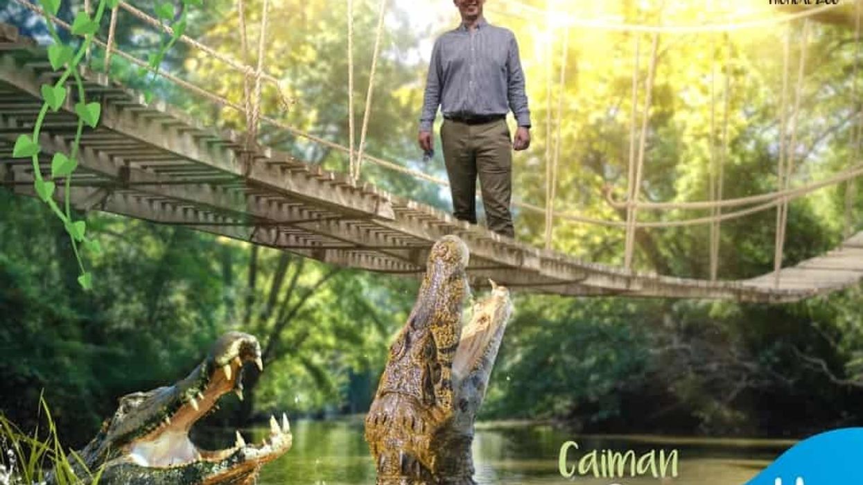 Magic Memories Plantasia Anthony Williams Tropical Zoo