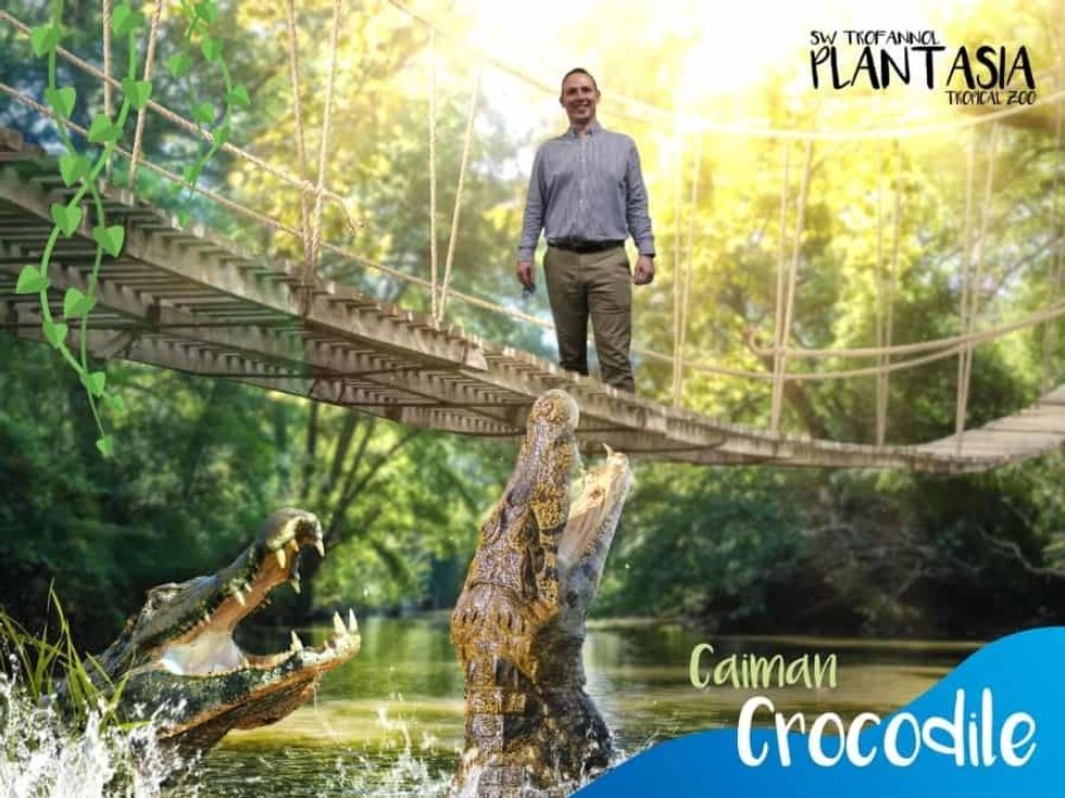 Magic Memories Plantasia Anthony Williams Tropical Zoo