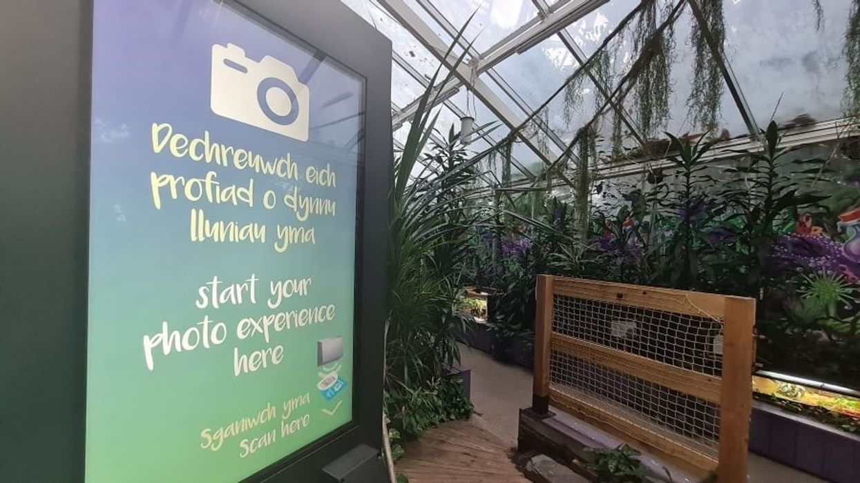 Magic Memories Plantasia Swansea Photo Experience