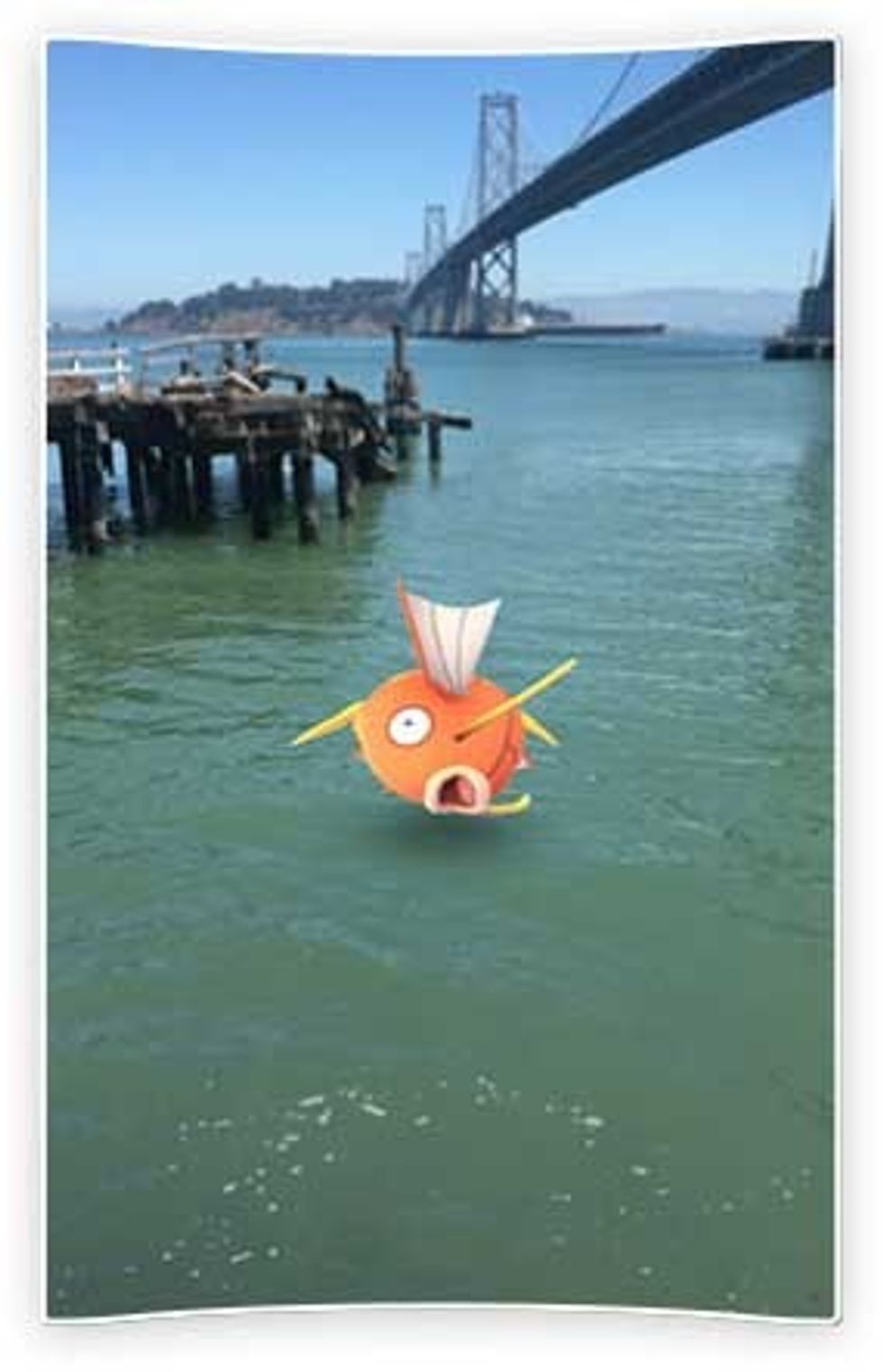 magikarp pokemon go