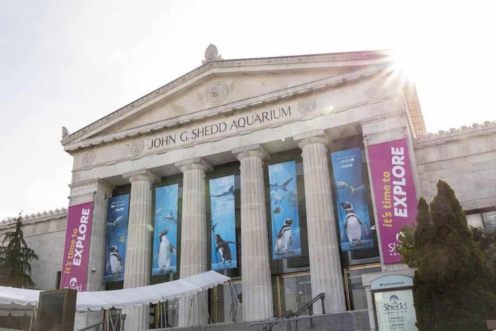 Main entrance at Shedd Aquarium