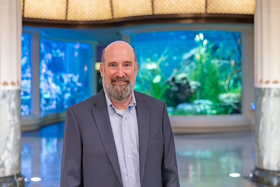Shedd Aquarium names Brad Rutherford as chief animal conservation officer