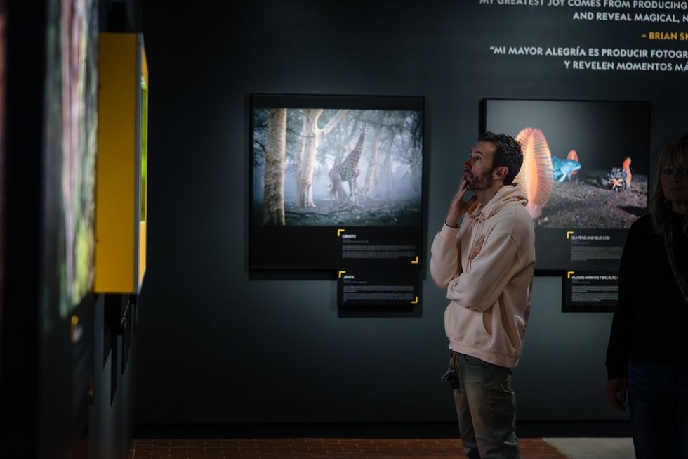 Man contemplating artwork in a dimly lit gallery exhibition.