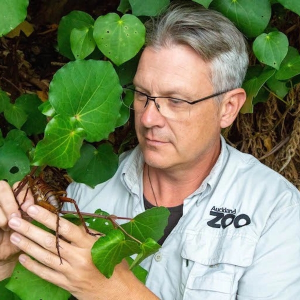 Man examines large insect among lush green leaves.
