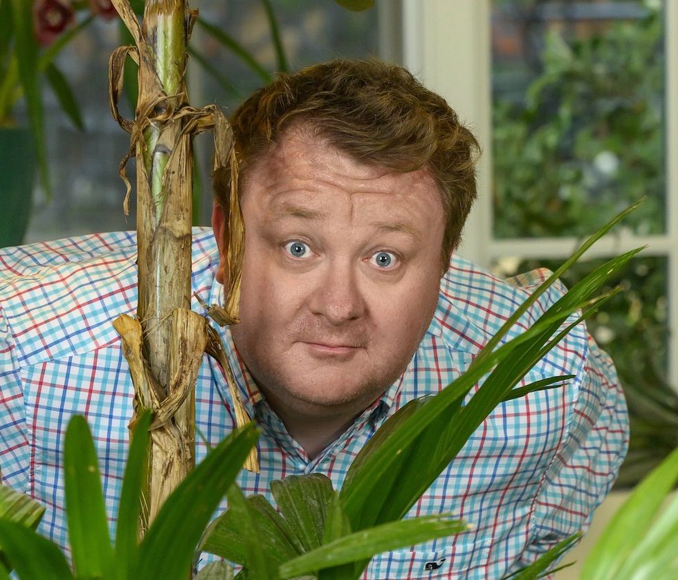 Man in a plaid shirt peeking through indoor plants, looking directly at the camera.