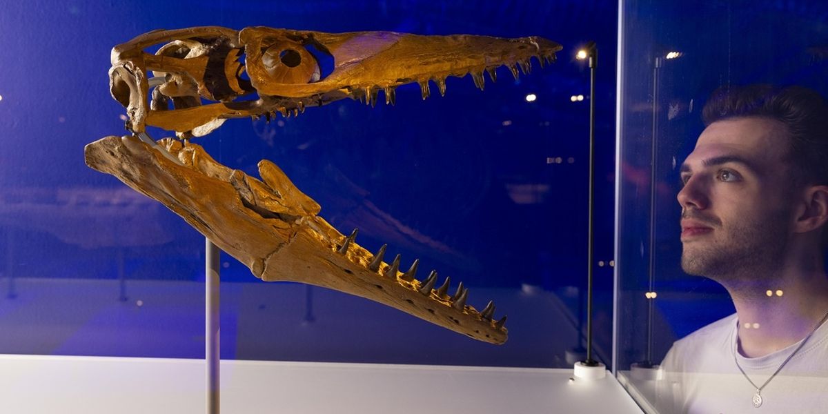 Natural History Museum launches Jurassic Oceans: Monsters of the Deep