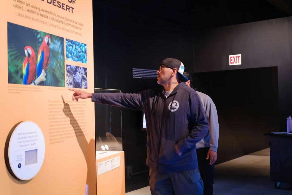 Man pointing at display board with colorful parrots in an exhibit.