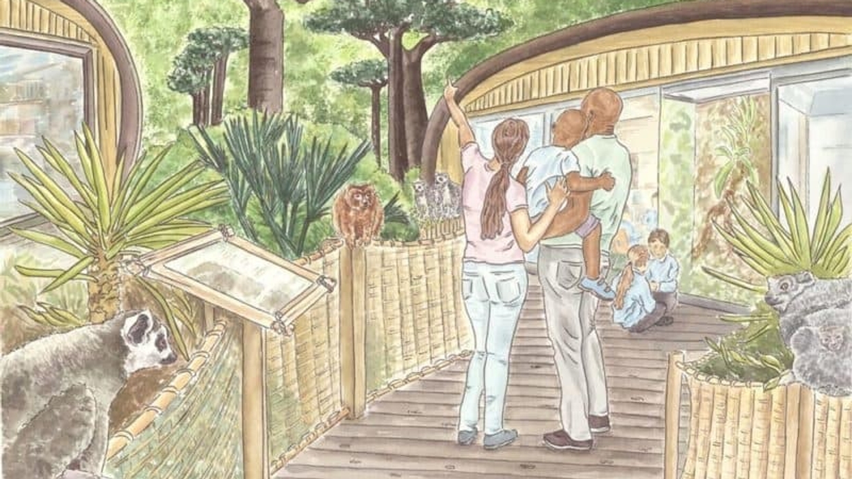 manchester zoo