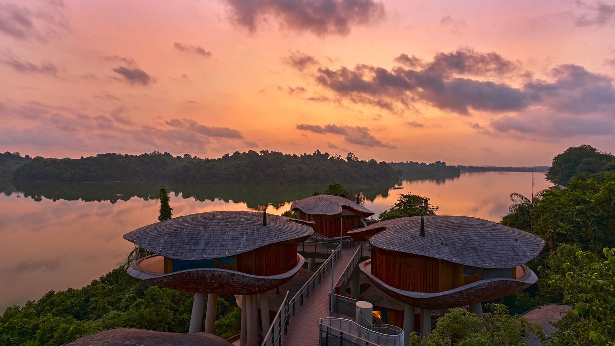 mandai rainforest resort singapore