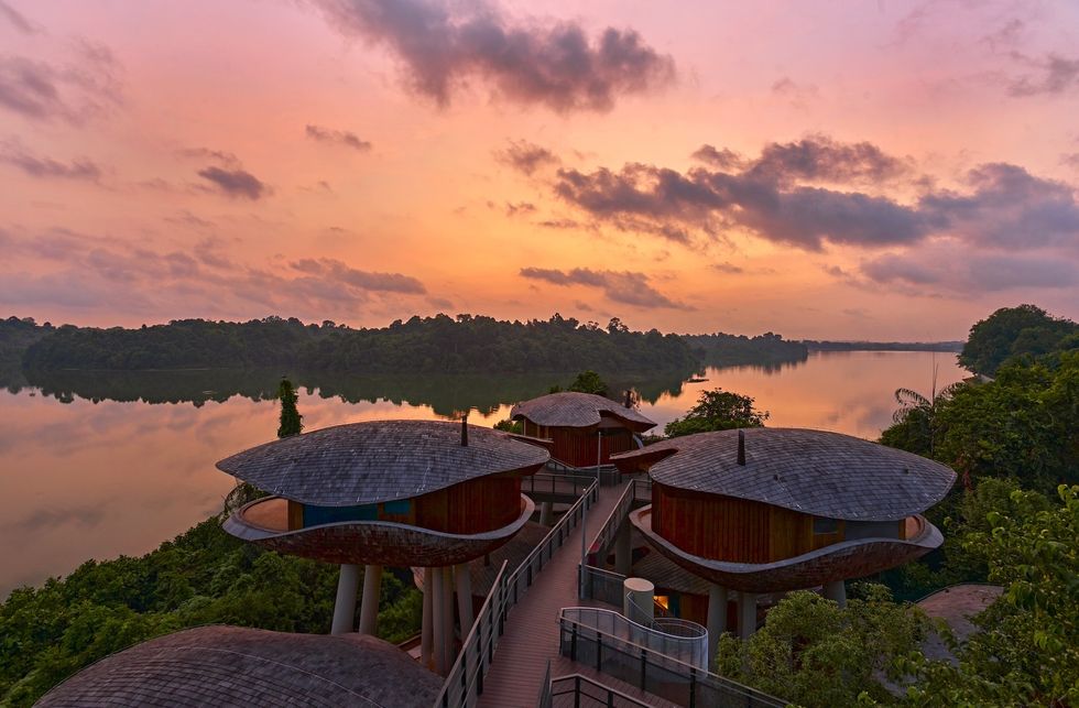 mandai rainforest resort singapore