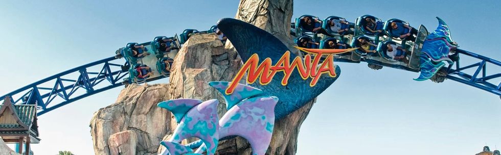 Manta roller coaster looping around rock formation at an amusement park called SeaWorld San Diego