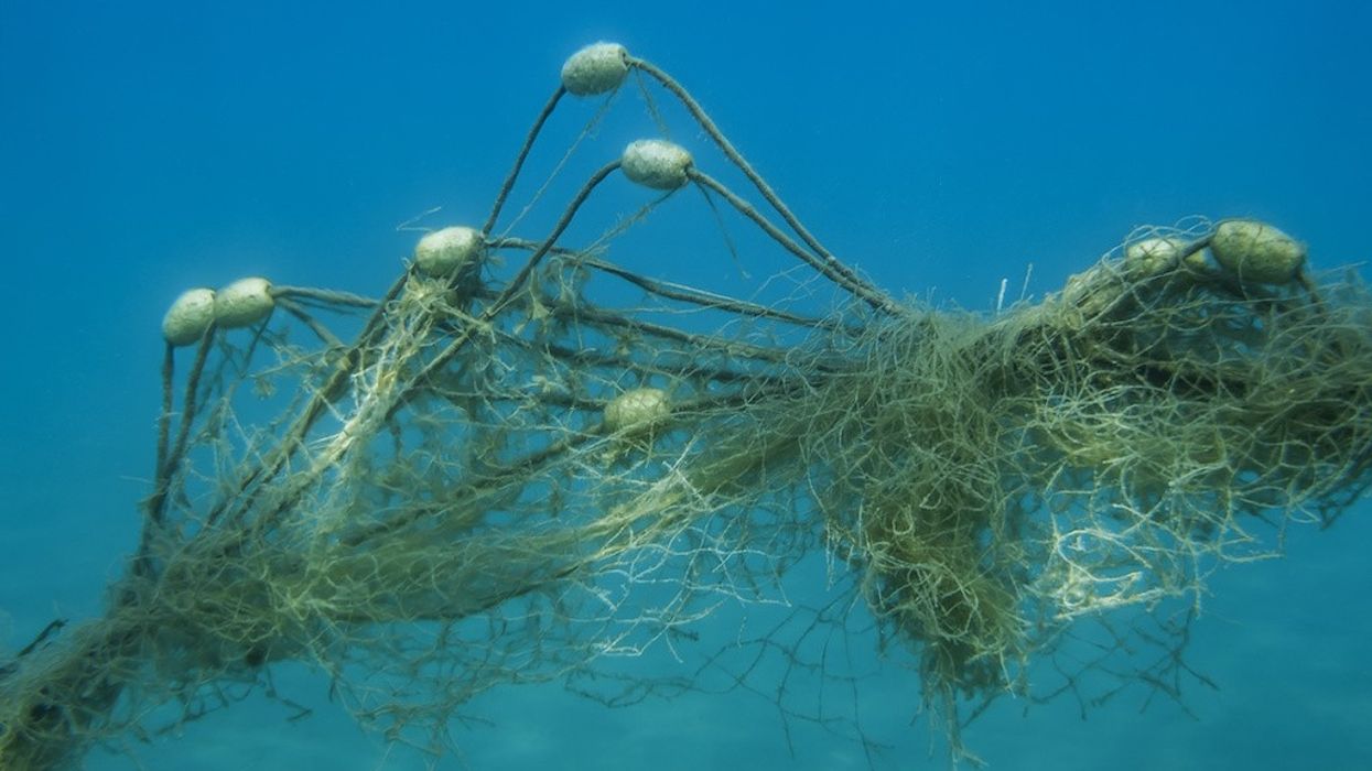 marine debris fishing nets at sea