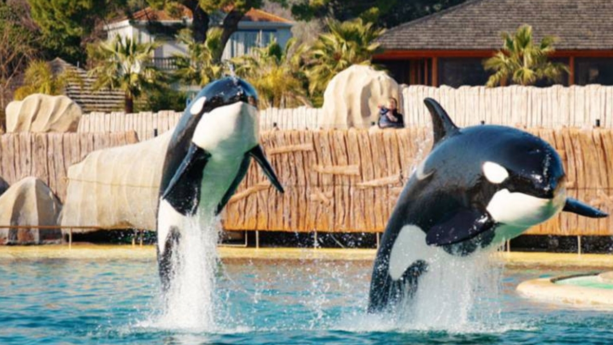 marineland france
