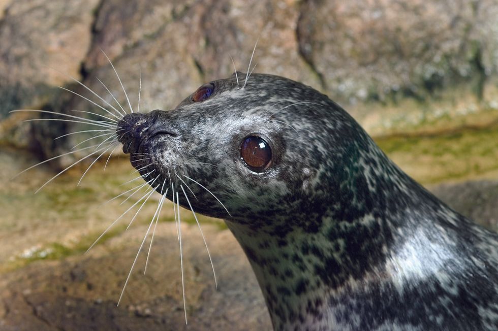 maritime aquarium at norwalk