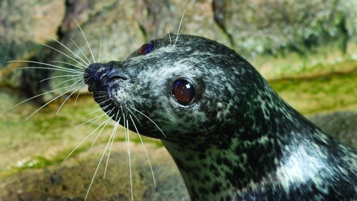 maritime aquarium at norwalk