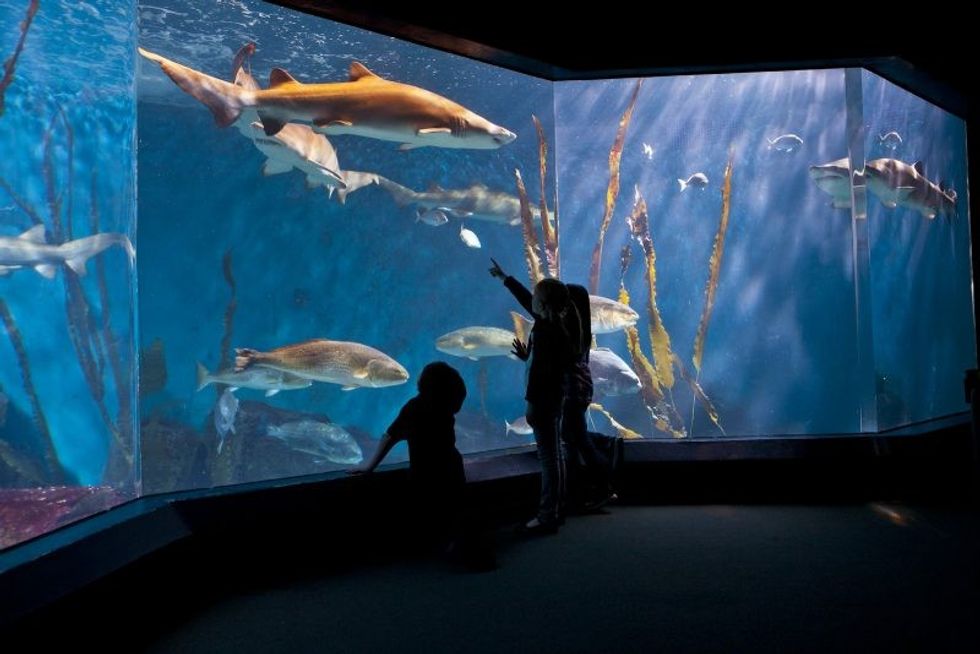 maritime aquarium at norwalk