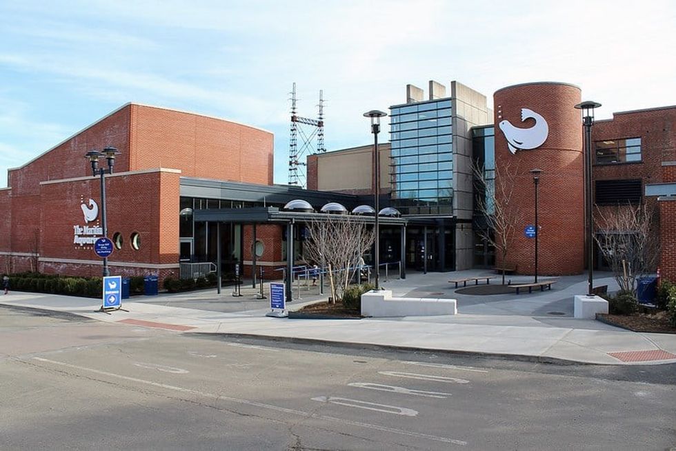 Maritime Aquarium Norwalk