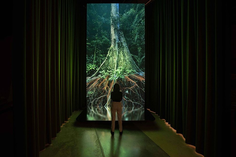Marshmallow-Laser-Feast_Sanctuary-of-the-Unseen-Forest_Courtesy-of-artists-and-Sandra-Ciampone_4-2