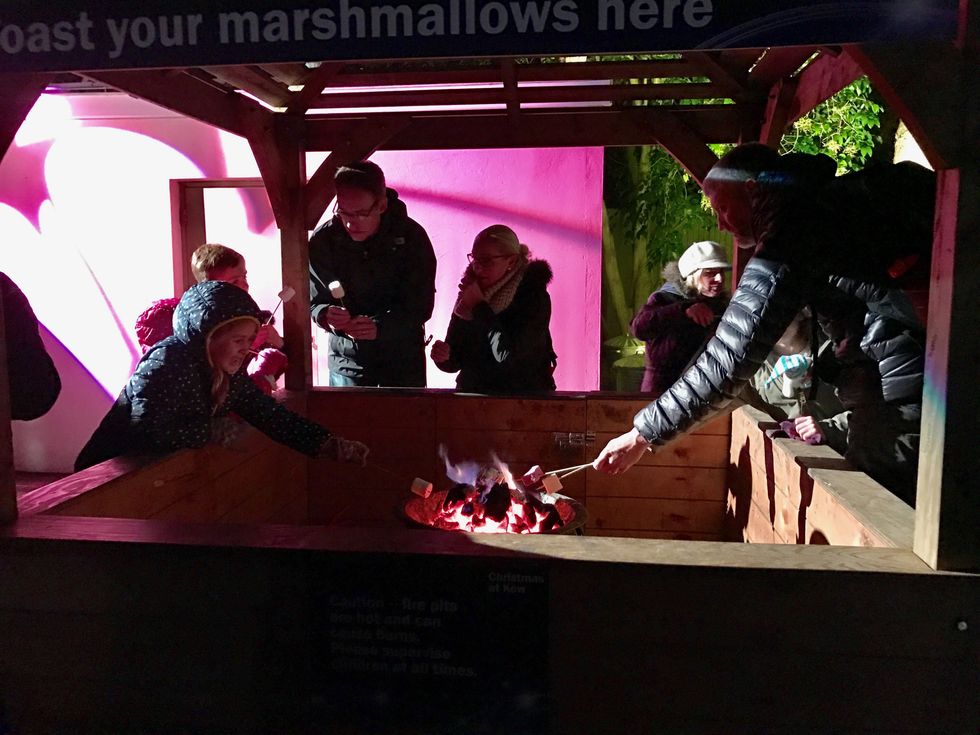 Marshmallow Toasting Christmas at Kew