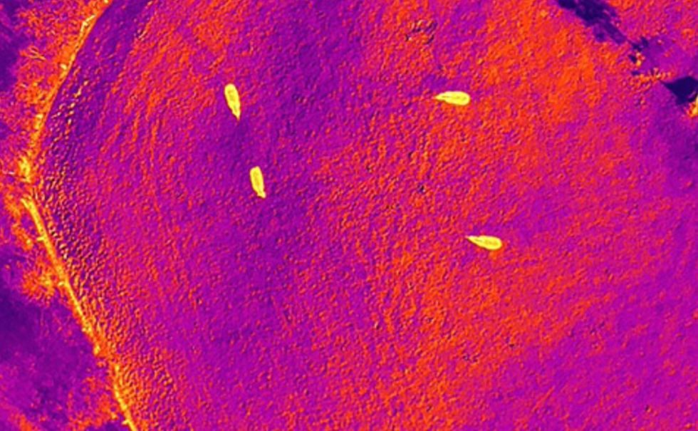 marwell wildlife drones sustainability trends 2025