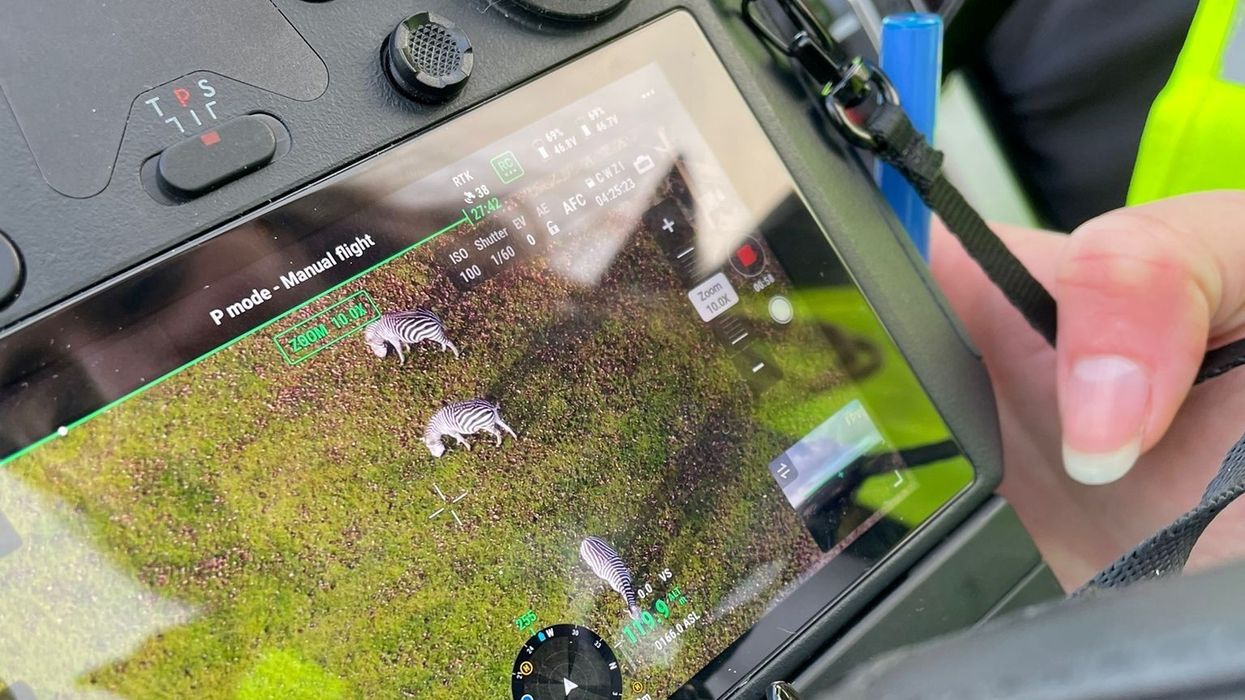 marwell wildlife drones