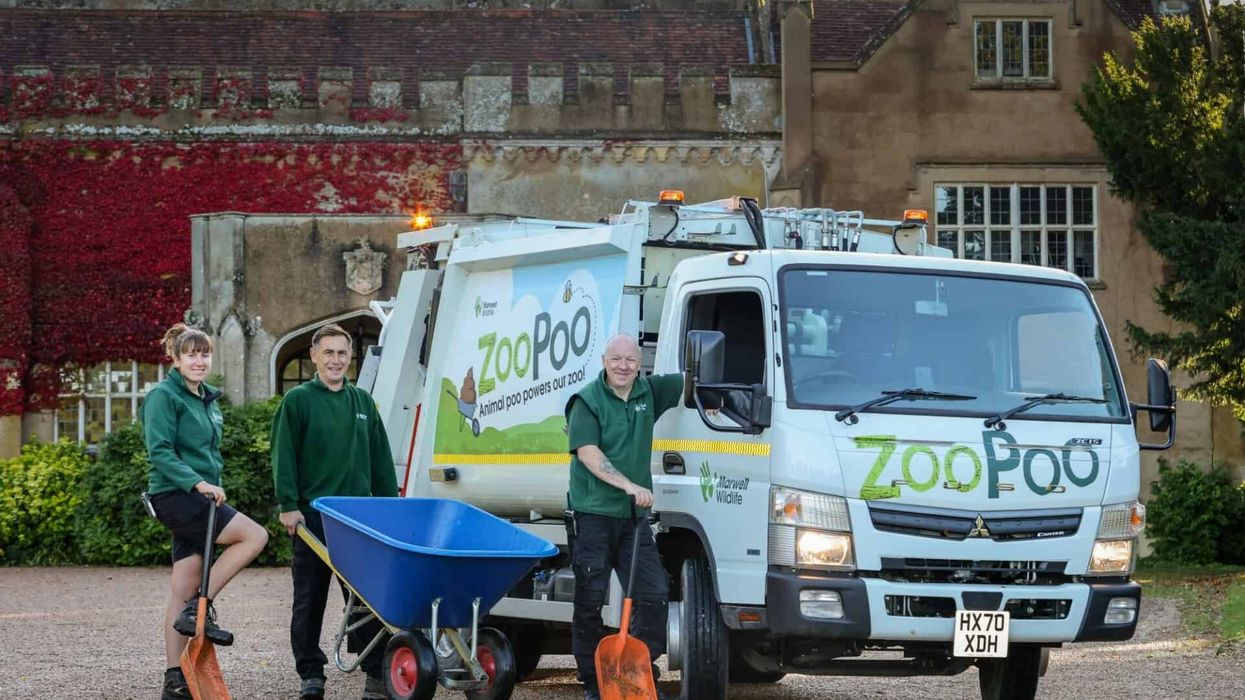 marwell zoo animal poo initiative