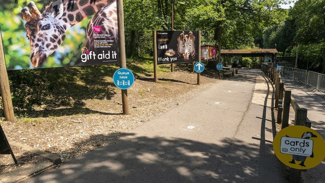 Marwell Zoo - Re-opening