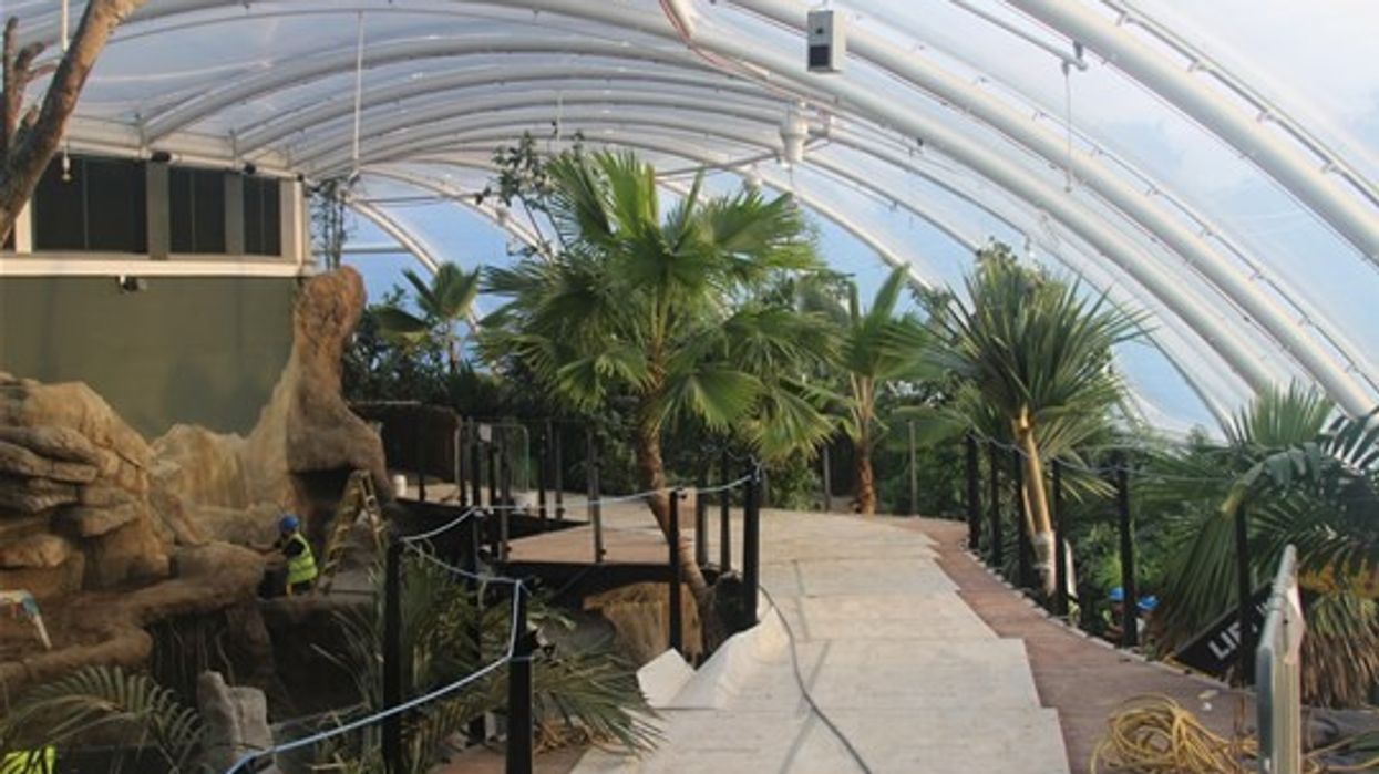 Marwell Zoo. Tropical House. Rainforest exhibit.