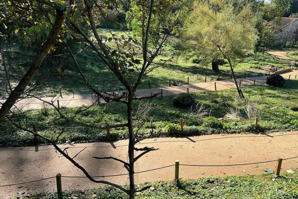 marwell zoo