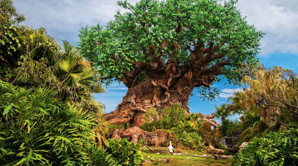 Massive tree with intricate carvings surrounded by lush greenery and a blue sky at Disney's Animal Kingdom