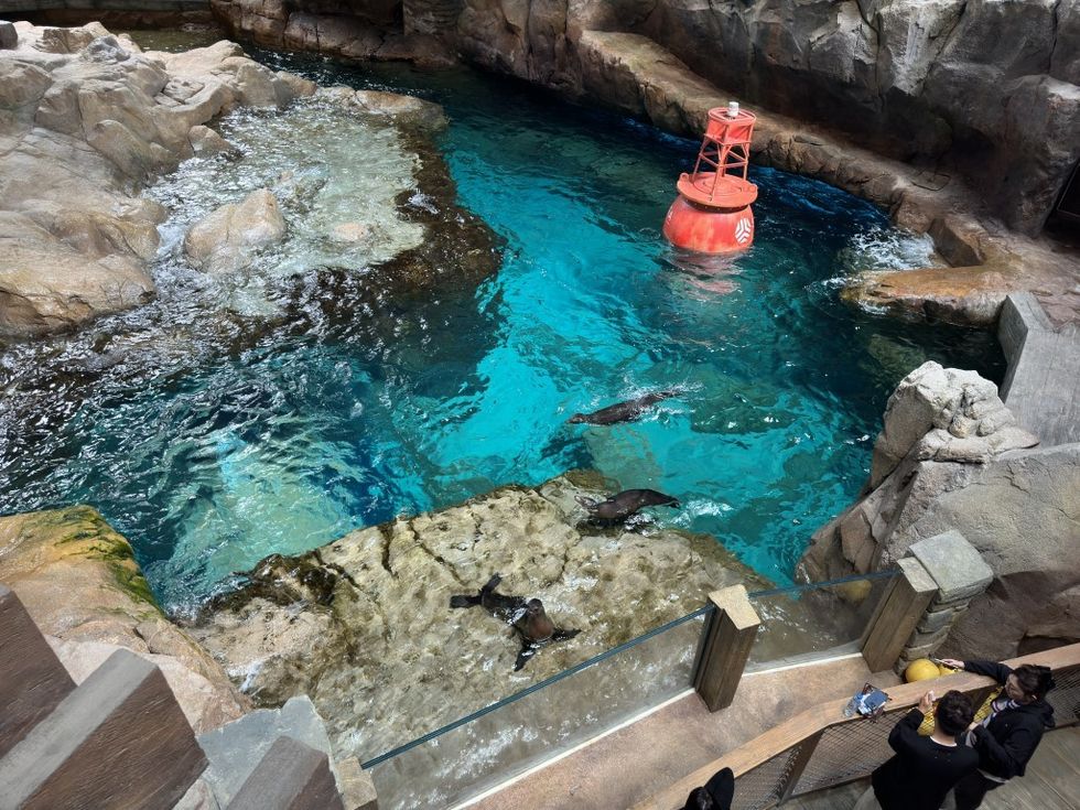MAT Filtration Technologies seals at SeaWorld Abu Dhabi
