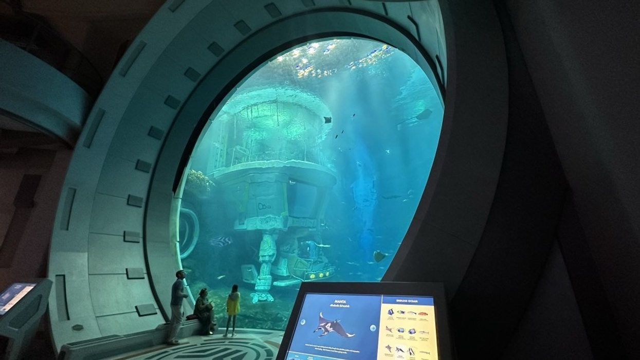 MAT Filtration Technologies SeaWorld Abu Dhabi exhibit