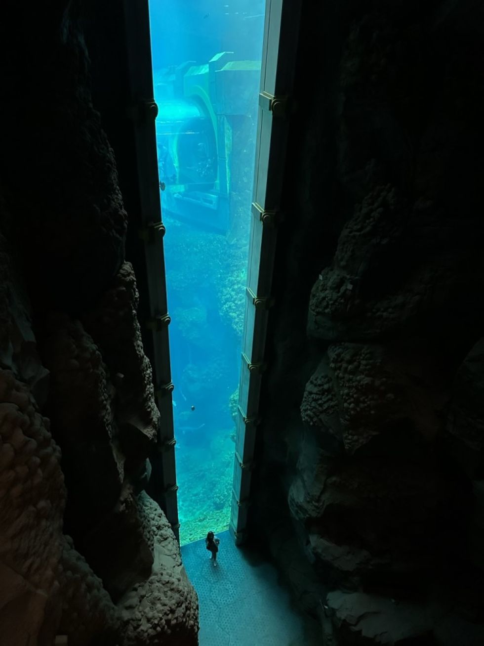 MAT Filtration Technologies SeaWorld Abu Dhabi interior